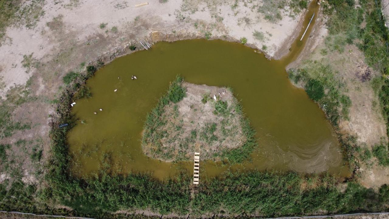 Penzion La Finestra Del Delta L'Ampolla Exteriér fotografie